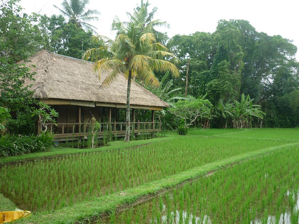 Ananda Ubud Resort Exterior photo