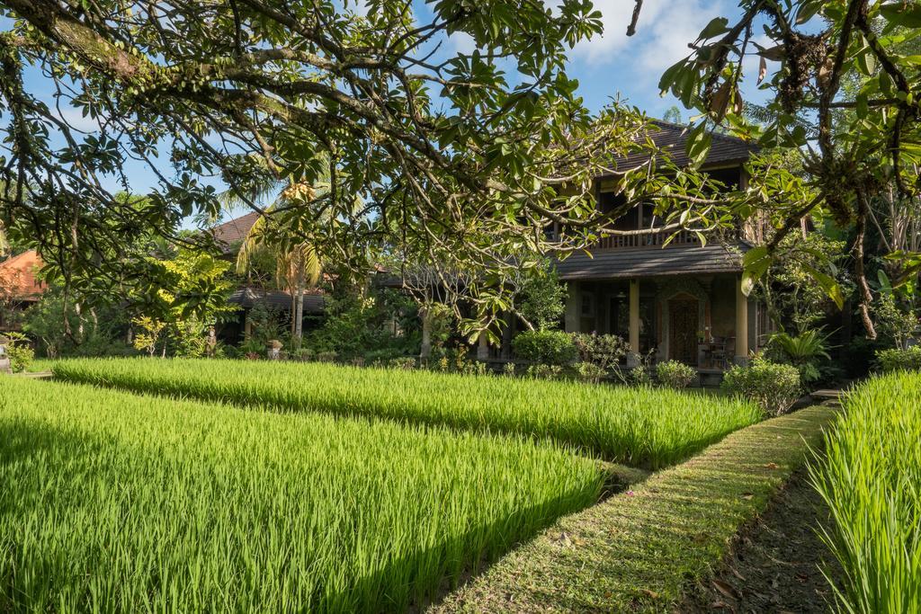 Ananda Ubud Resort Exterior photo